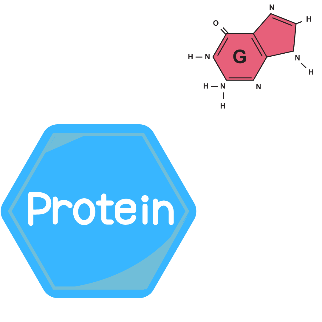 Supplement Supplement